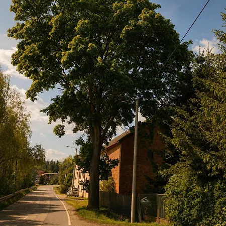 Pod Stolowymi Dla Dwojga